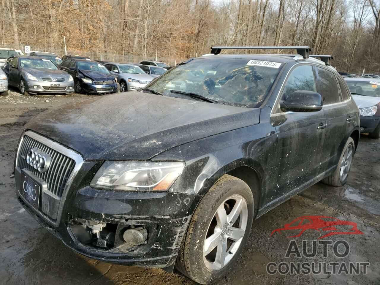 AUDI Q5 2011 - WA1LFAFP8BA045295
