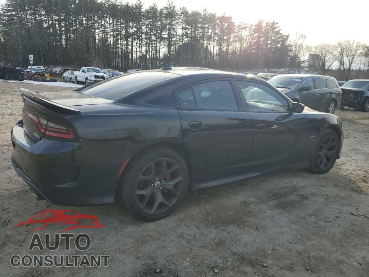 DODGE CHARGER 2019 - 2C3CDXCT3KH513150