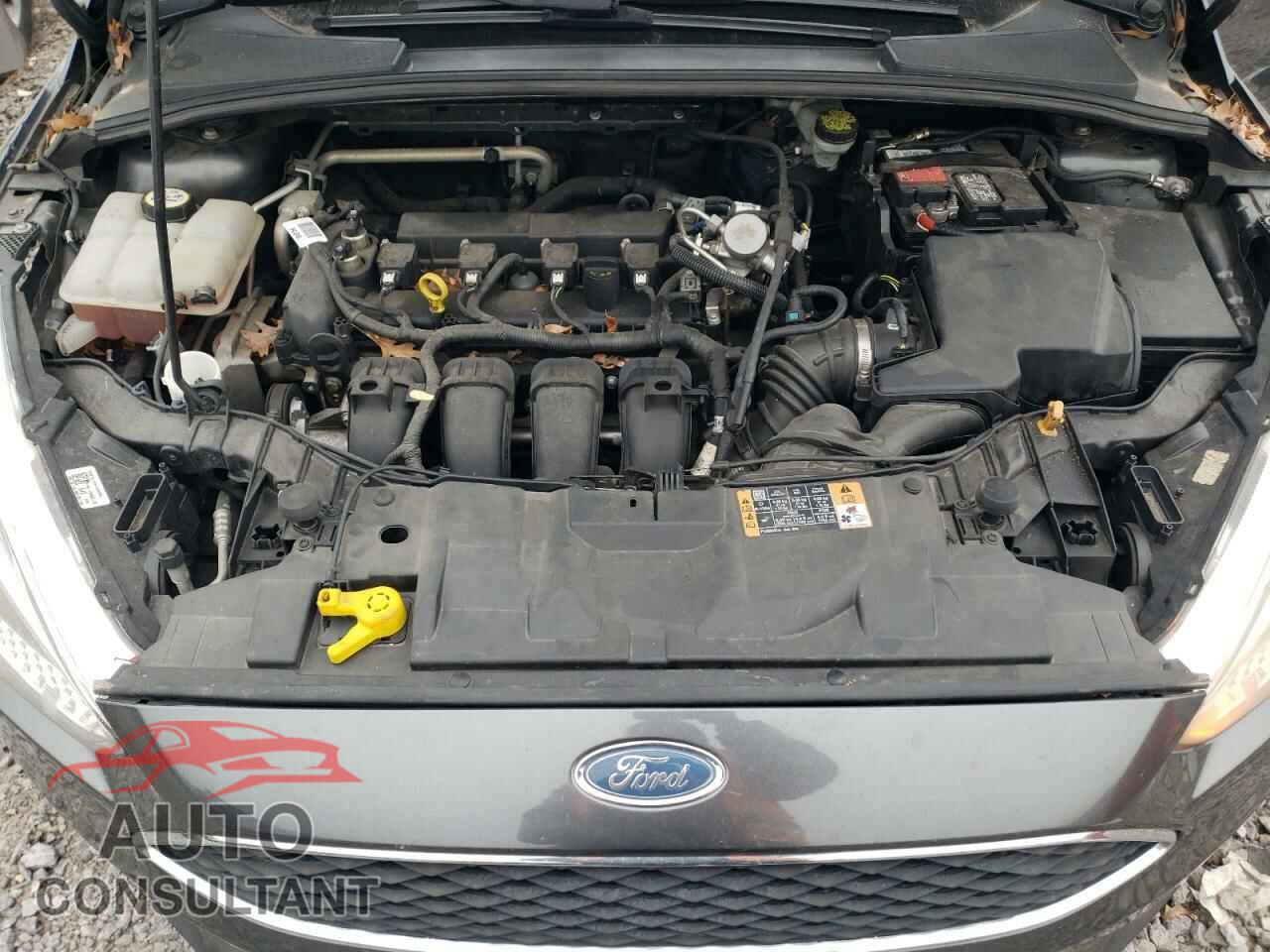 FORD FOCUS 2016 - 1FADP3F29GL376282