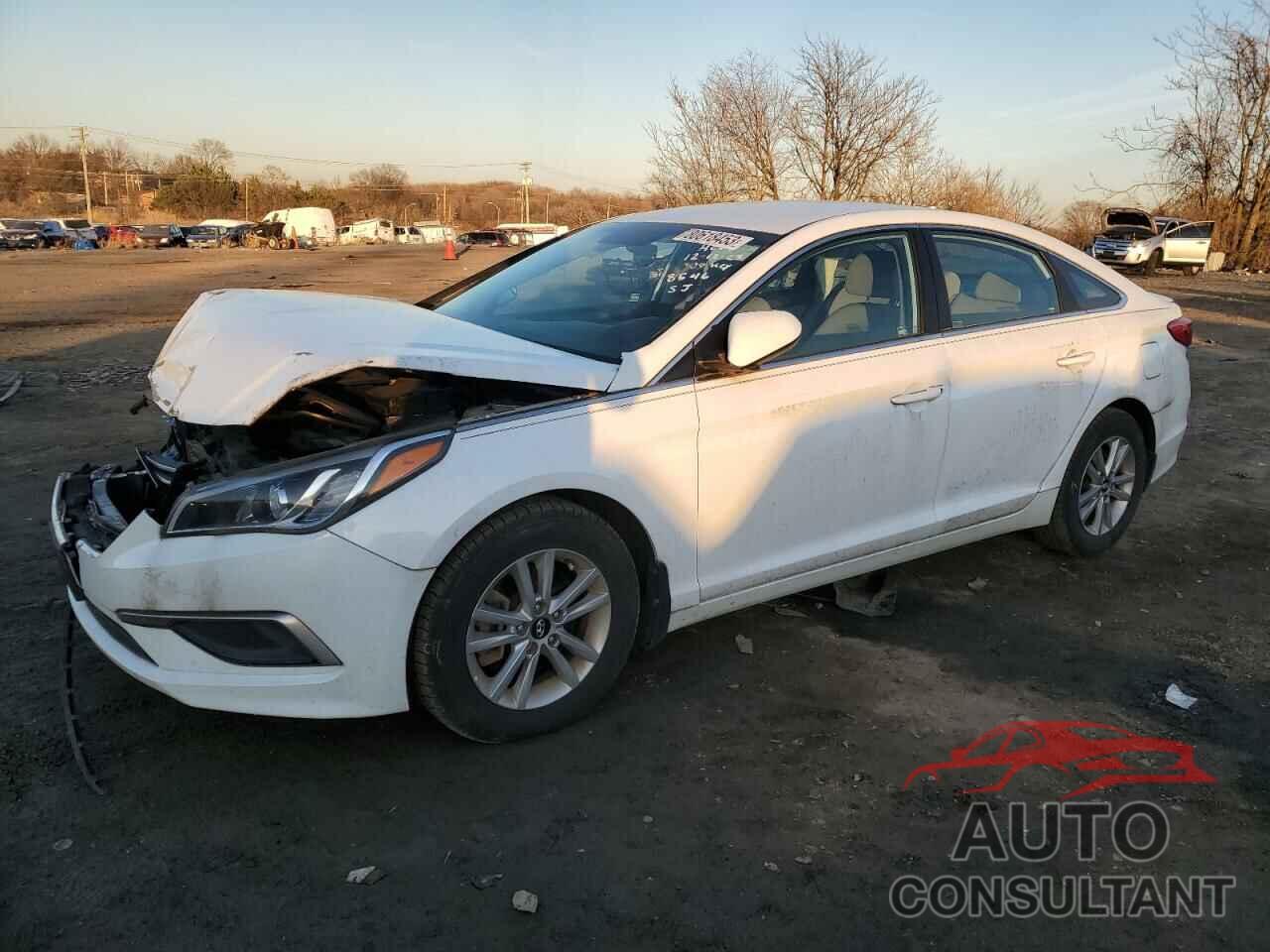 HYUNDAI SONATA 2016 - 5NPE24AF2GH428546