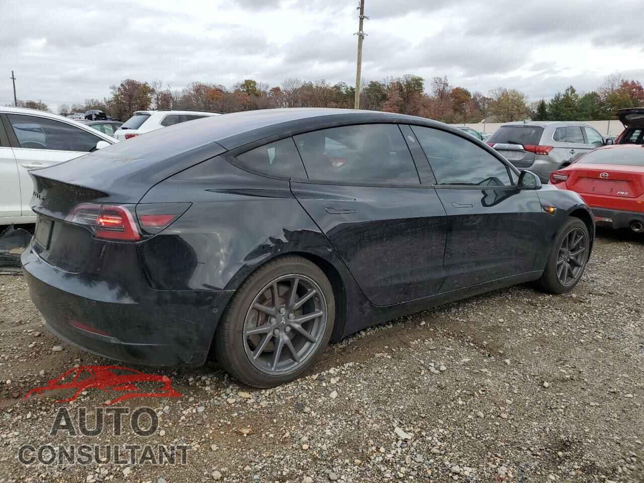 TESLA MODEL 3 2019 - 5YJ3E1EA8KF317261