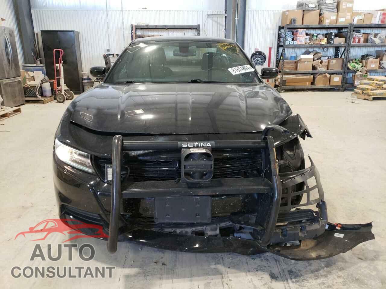 DODGE CHARGER 2019 - 2C3CDXAT4KH650312