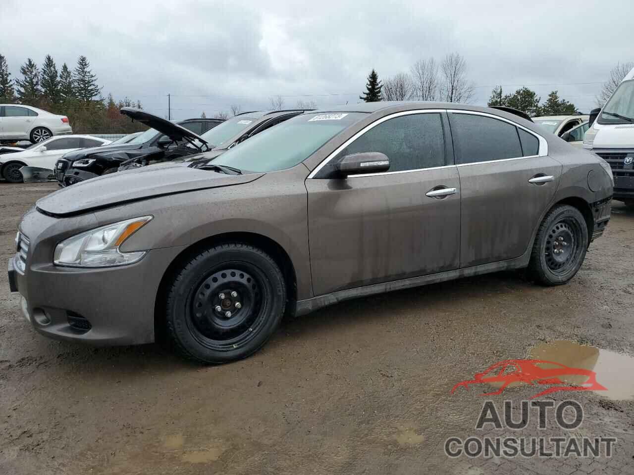 NISSAN MAXIMA 2012 - 1N4AA5AP5CC839175