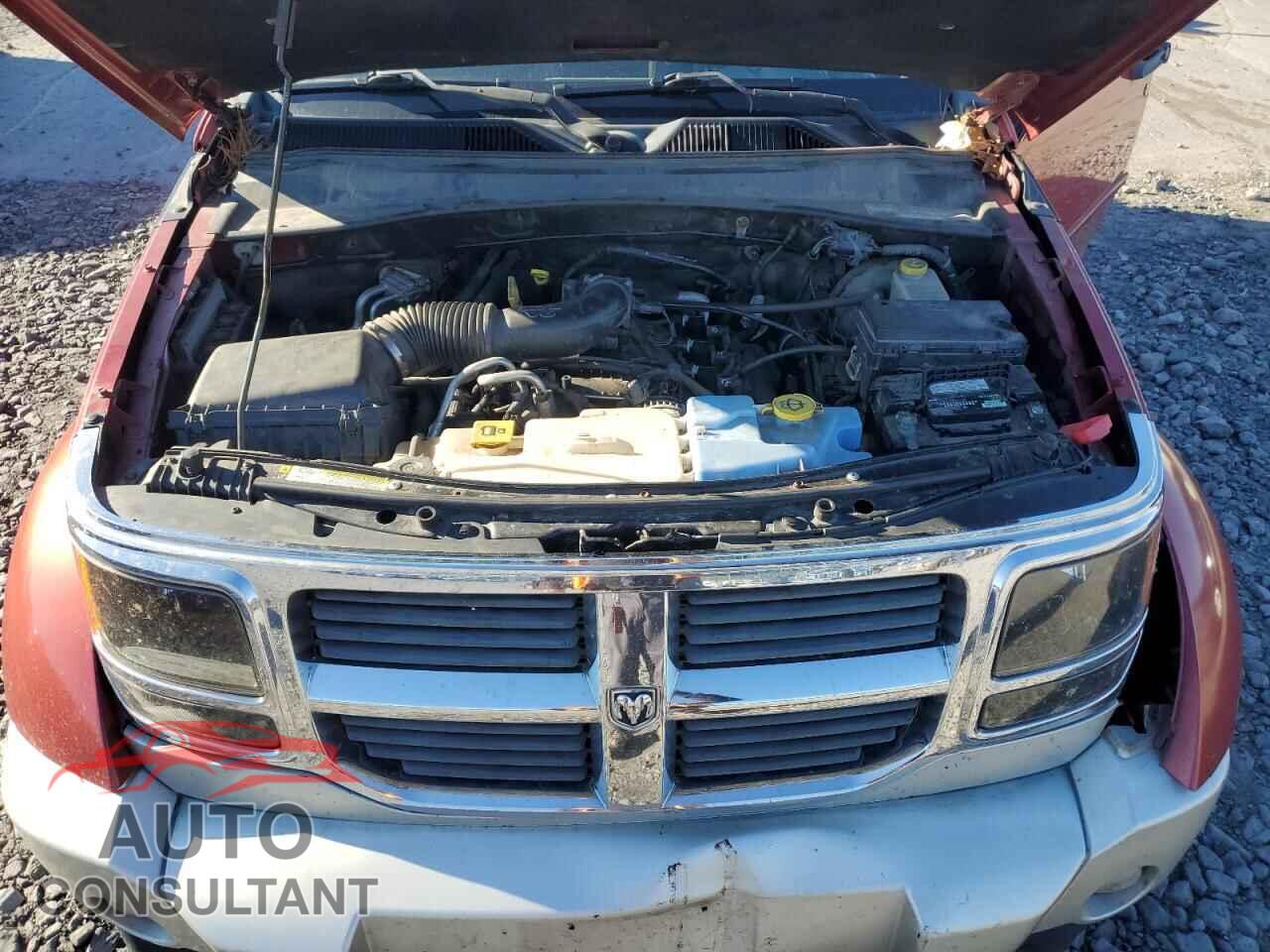 DODGE NITRO 2011 - 1D4PU4GK6BW529117