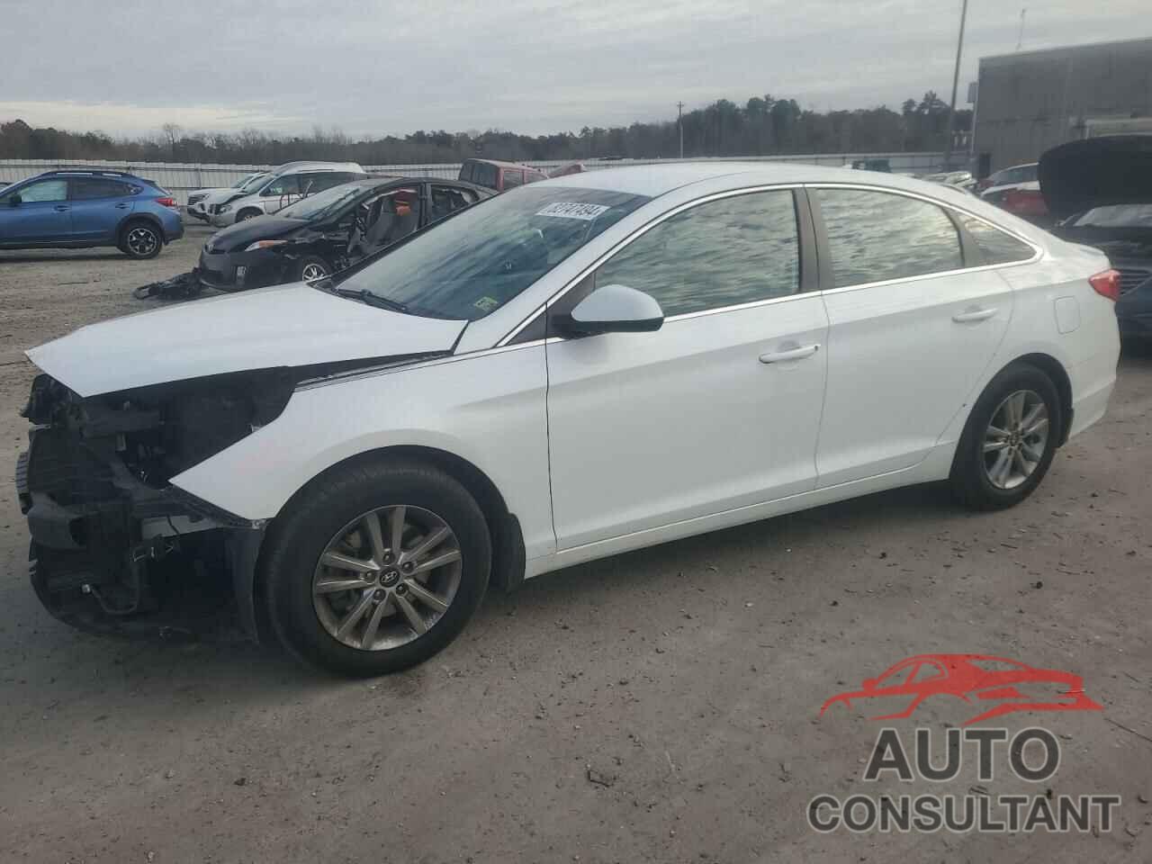 HYUNDAI SONATA 2017 - 5NPE24AFXHH510283