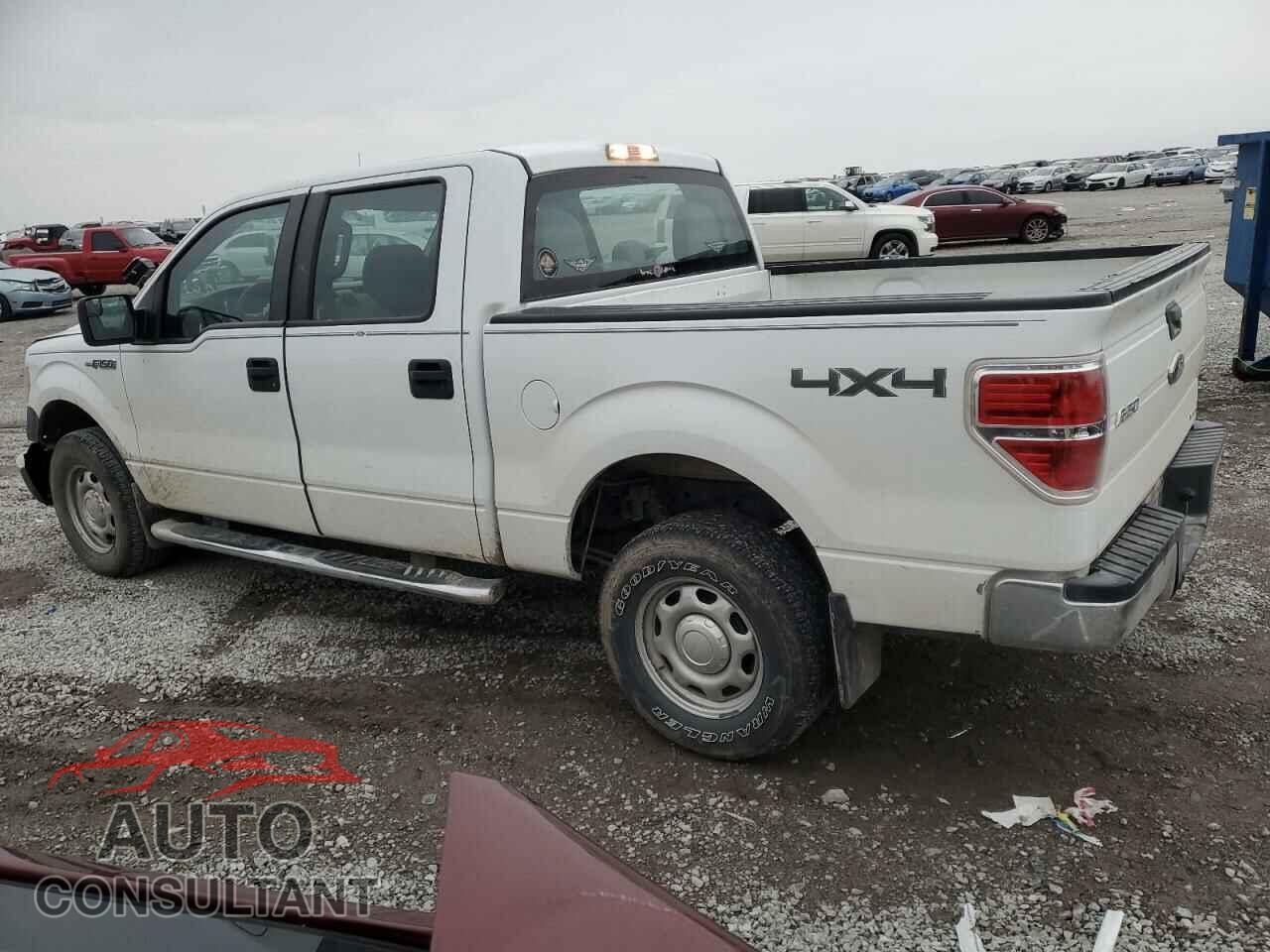 FORD F-150 2013 - 1FTFW1EF4DFD70236