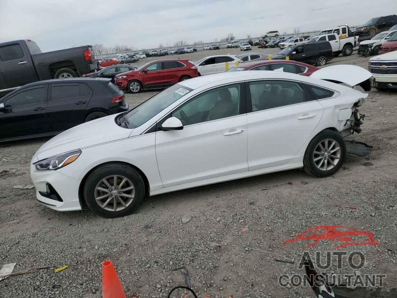 HYUNDAI SONATA 2019 - 5NPE24AF2KH753903