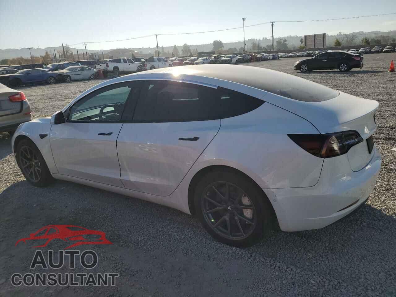 TESLA MODEL 3 2019 - 5YJ3E1EA2KF310211