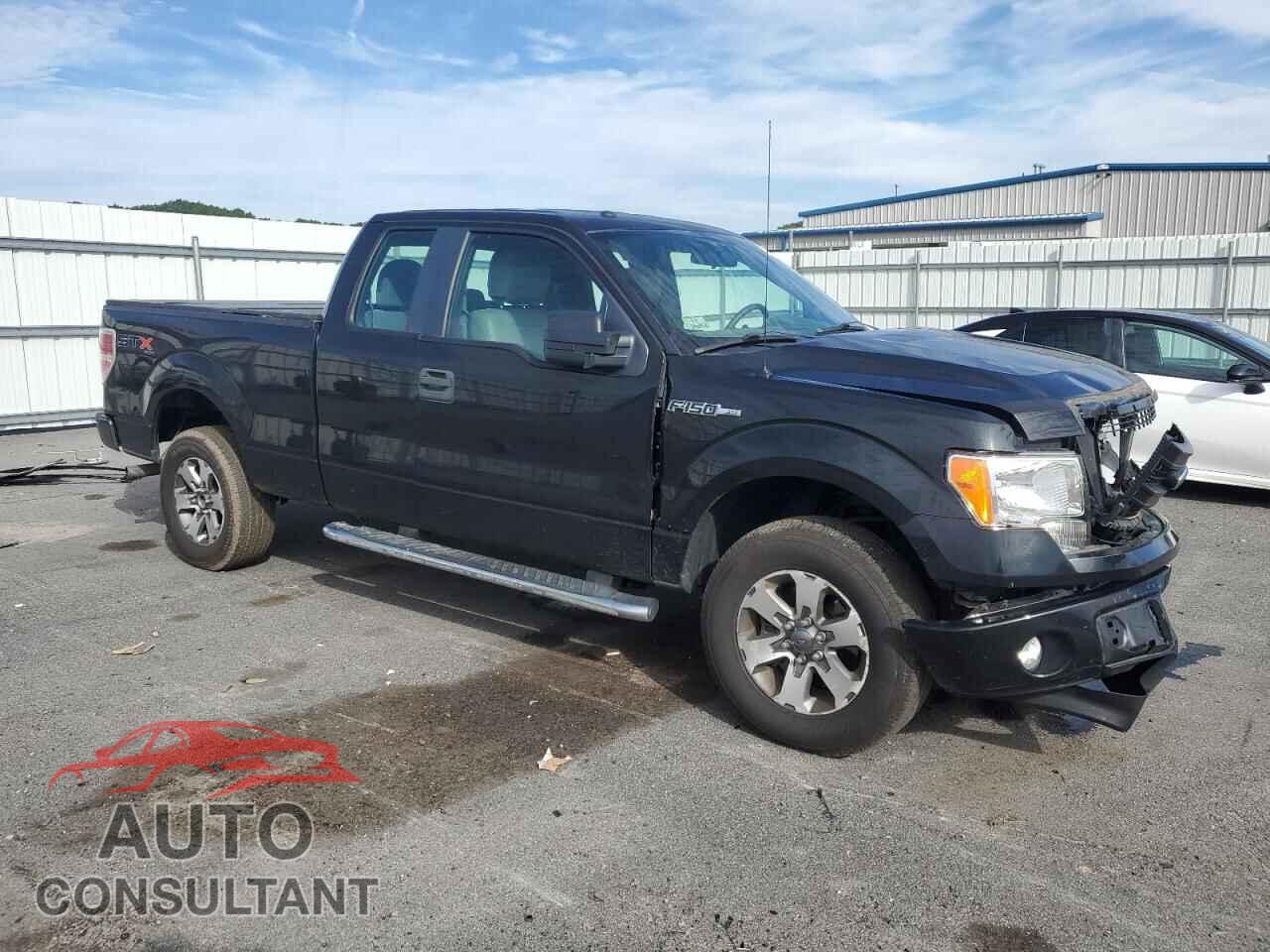 FORD F-150 2013 - 1FTFX1EF9DFD72982
