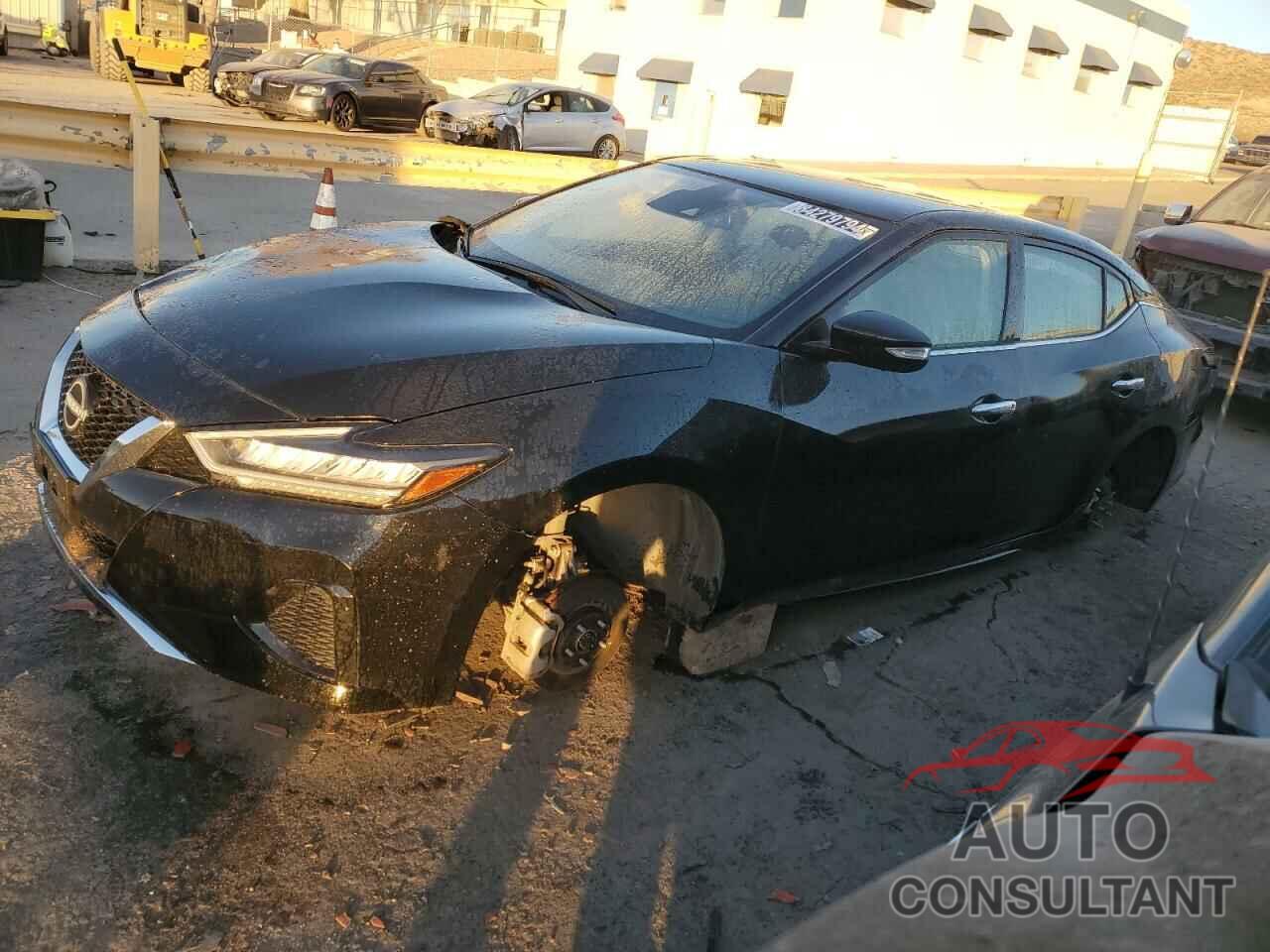 NISSAN MAXIMA 2023 - 1N4AA6CV6PC511156