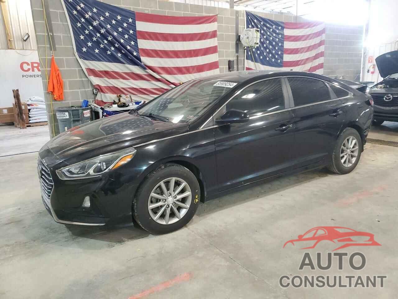 HYUNDAI SONATA 2019 - 5NPE24AFXKH743992