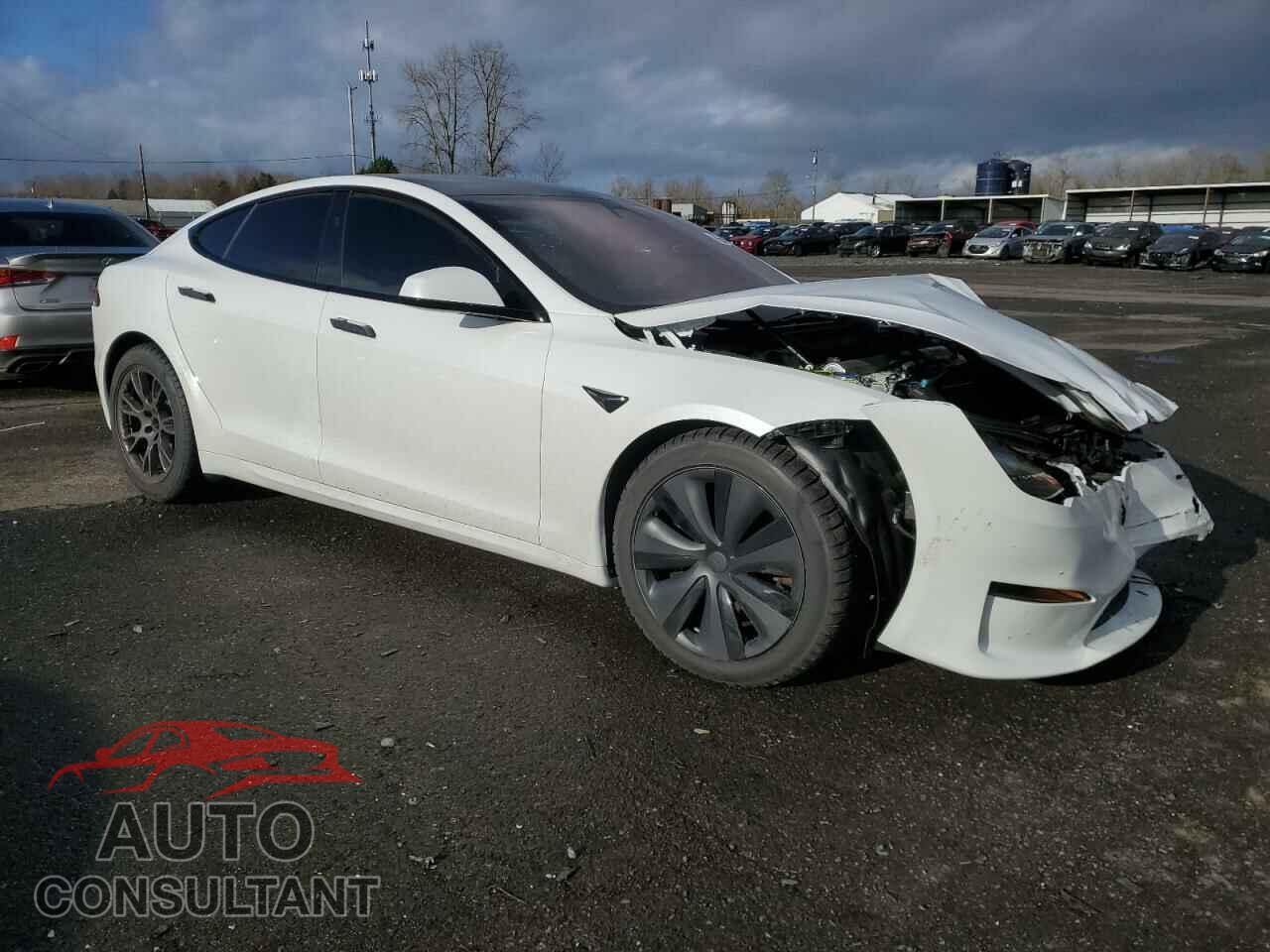 TESLA MODEL S 2024 - 5YJSA1E59RF541014