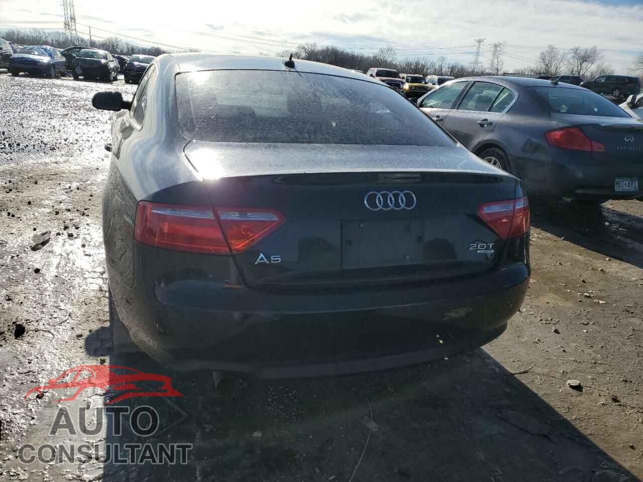AUDI A5 2010 - WAUCFAFR9AA023096