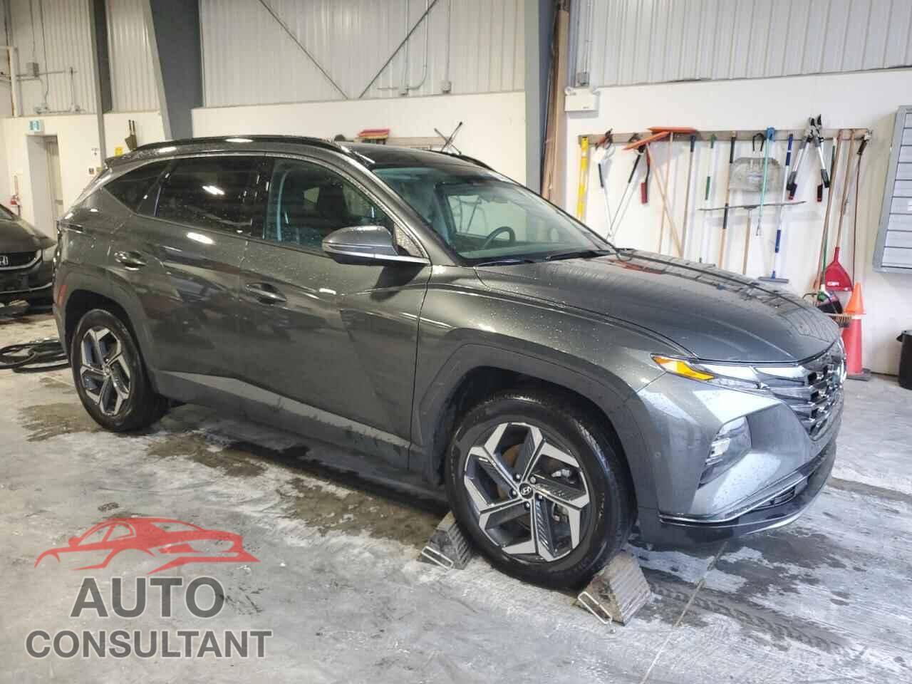 HYUNDAI TUCSON ULT 2024 - KM8JDDD21RU236699