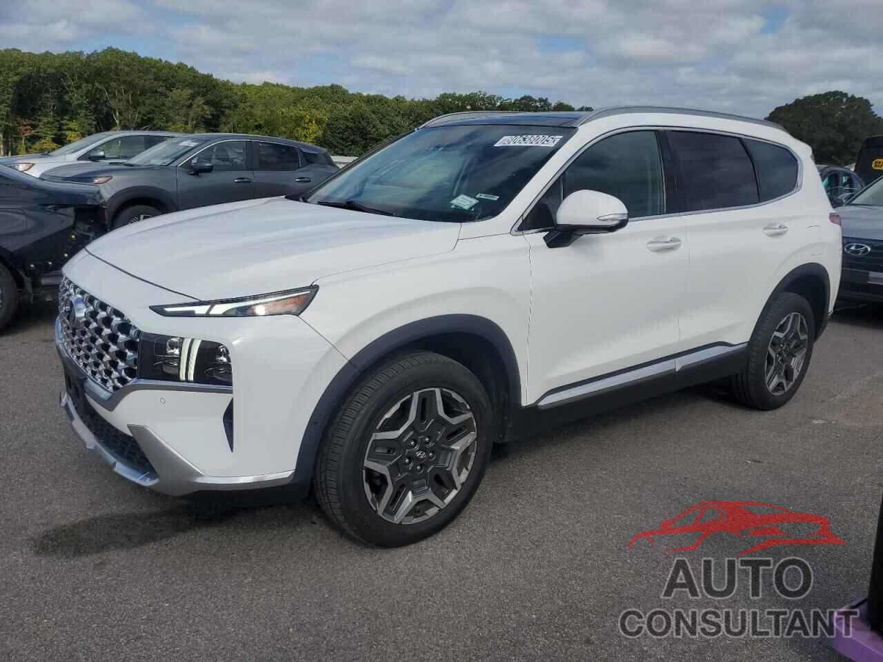 HYUNDAI SANTA FE 2023 - 5NMS4DAL9PH515800