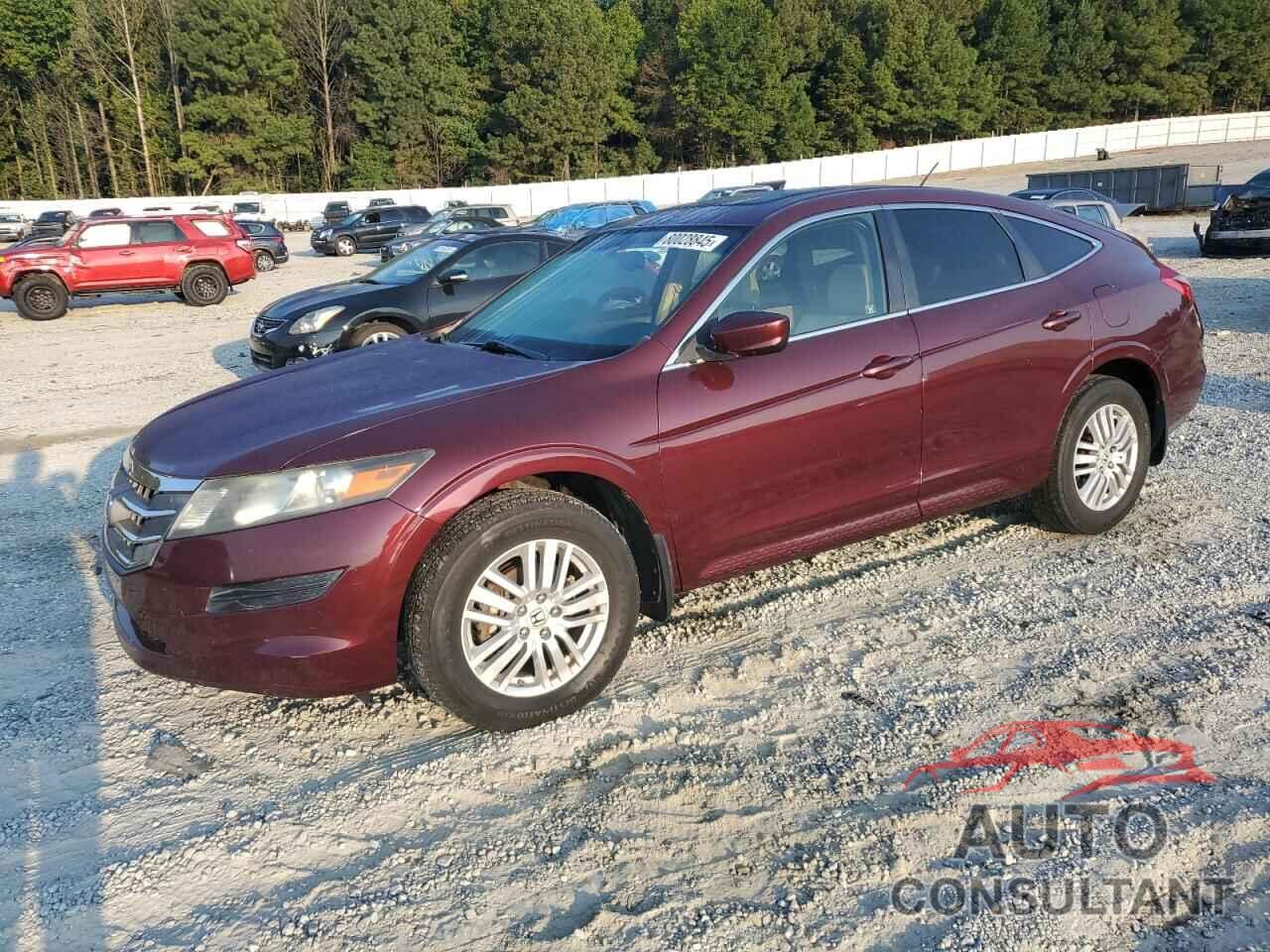 HONDA CROSSTOUR 2012 - 5J6TF3H5XCL007189