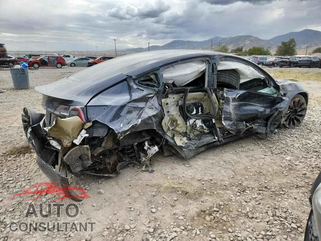 TESLA MODEL 3 2021 - 5YJ3E1EC9MF033979
