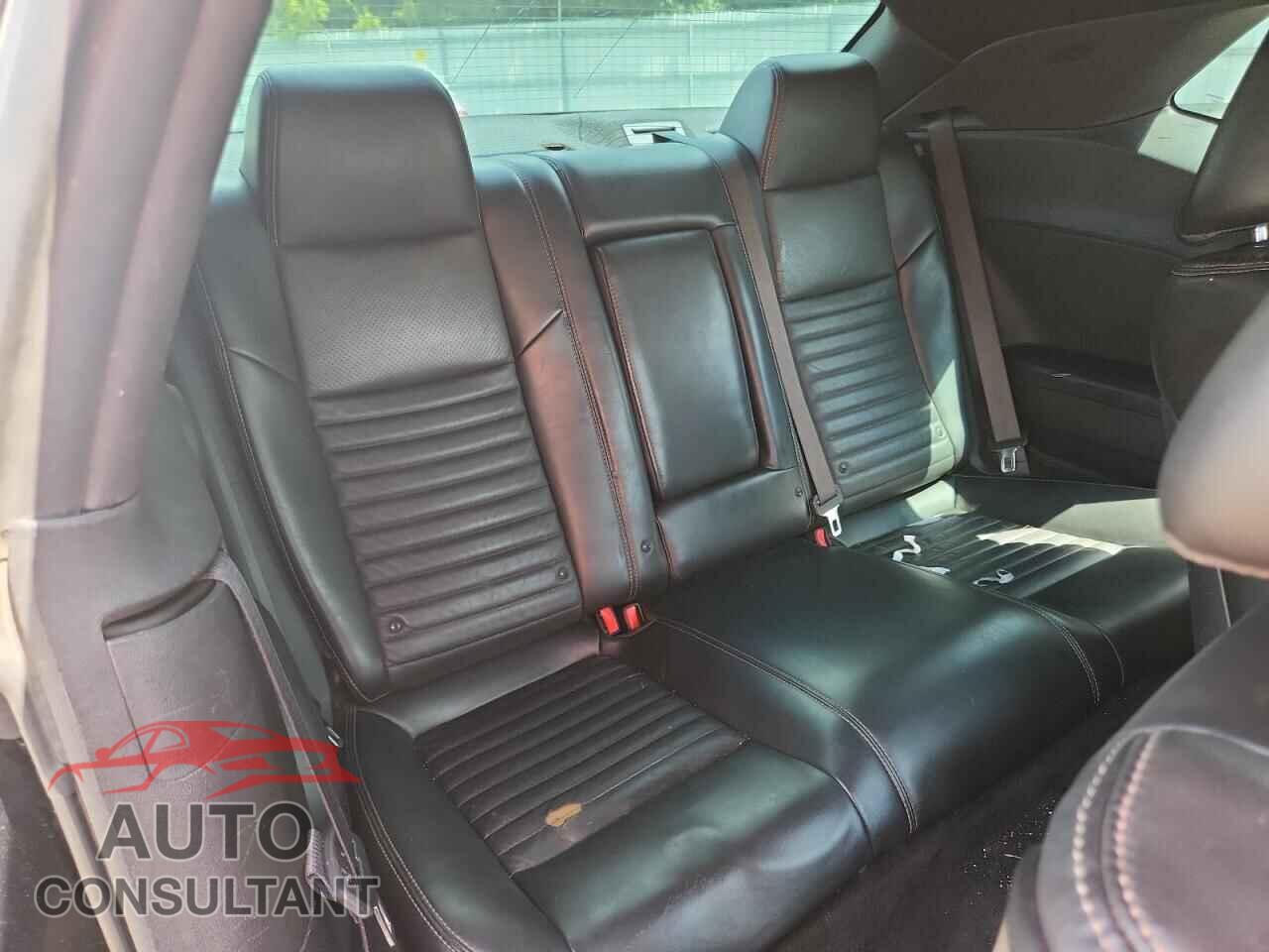 DODGE CHALLENGER 2013 - 2C3CDYBT8DH685717