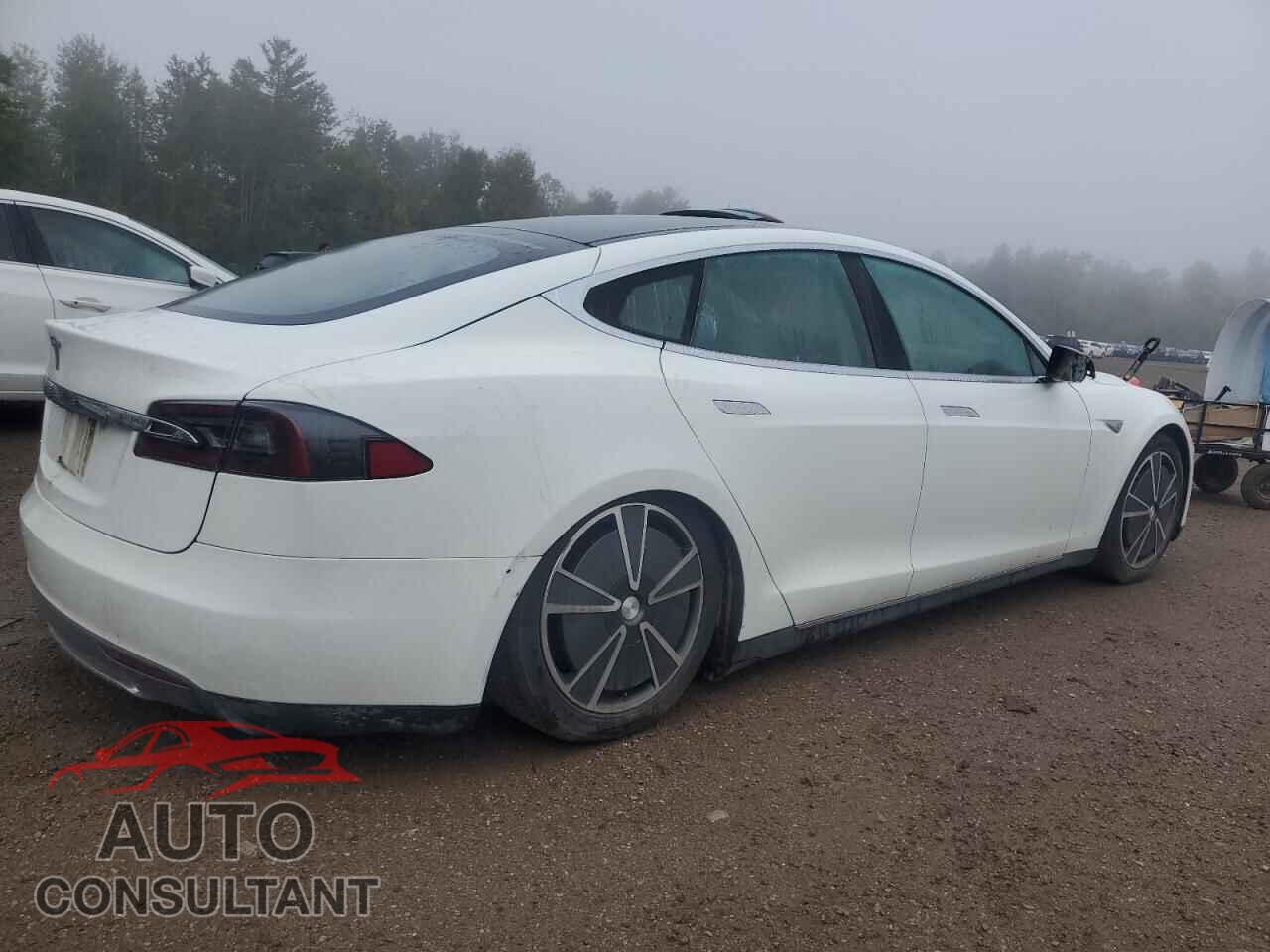 TESLA MODEL S 2013 - 5YJSA1AC0DFP10799