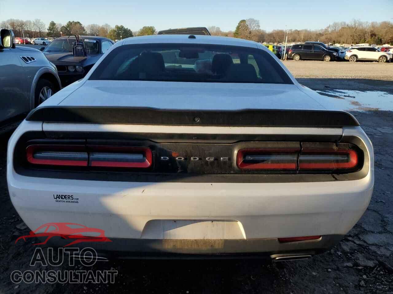 DODGE CHALLENGER 2019 - 2C3CDZAG2KH735406