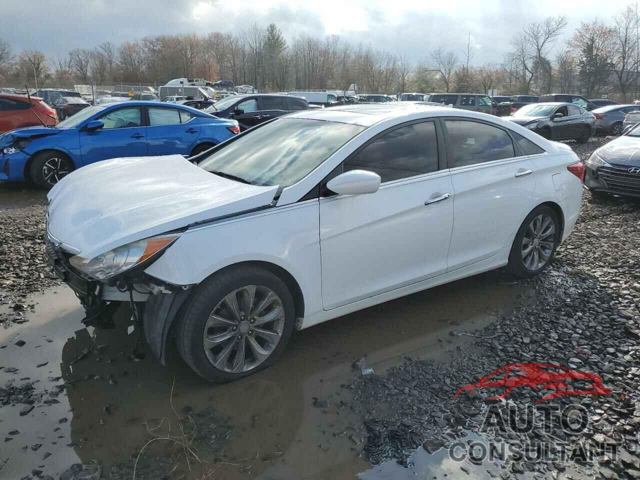 HYUNDAI SONATA 2011 - 5NPEC4AC6BH288688