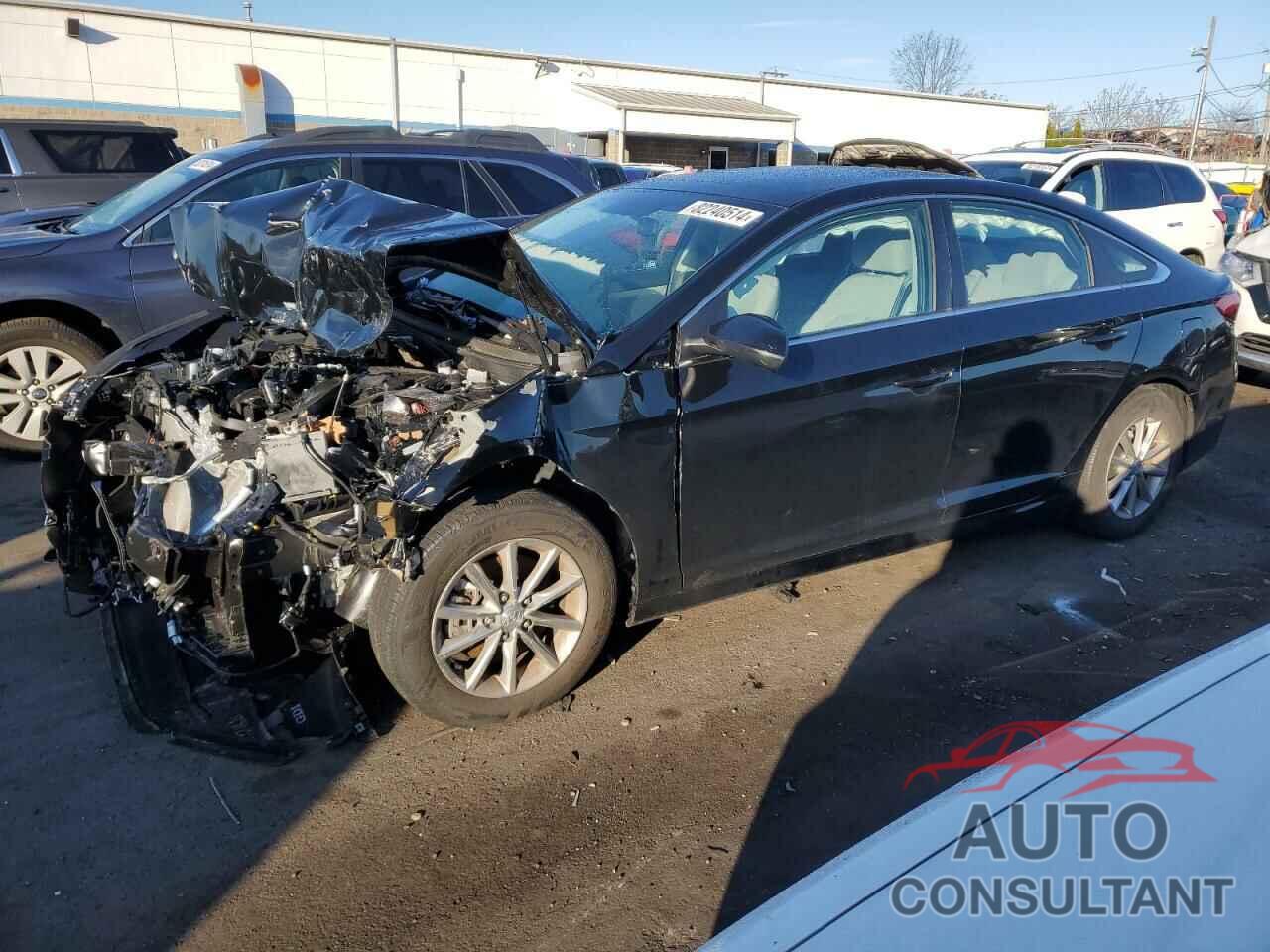 HYUNDAI SONATA 2019 - 5NPE24AF6KH780313