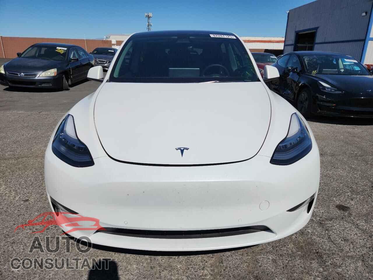 TESLA MODEL Y 2022 - 7SAYGDEE5NF459904