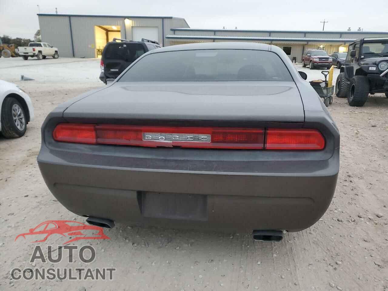 DODGE CHALLENGER 2014 - 2C3CDYAG2EH258510