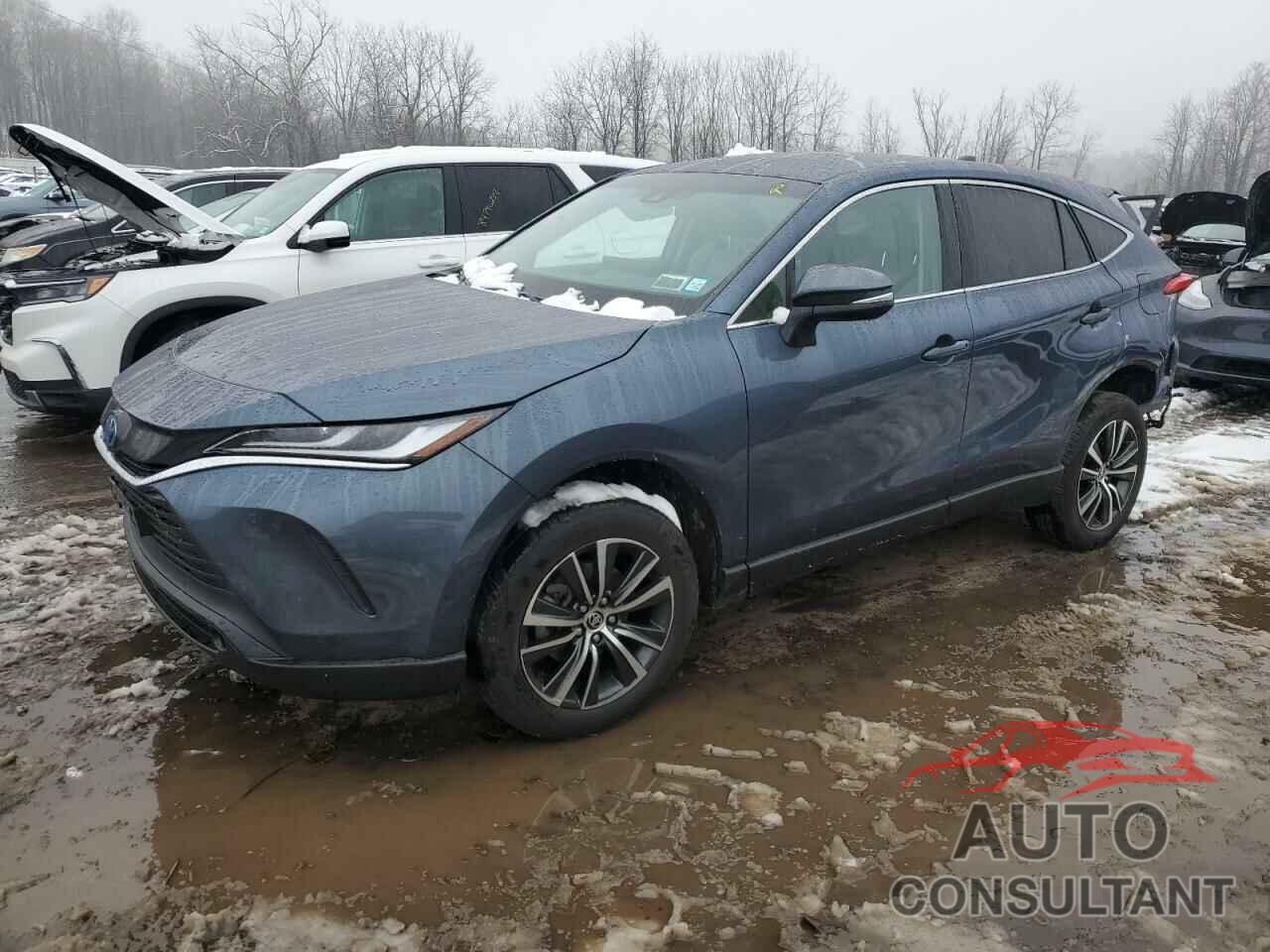 TOYOTA VENZA 2023 - JTEAAAAH6PJ140582