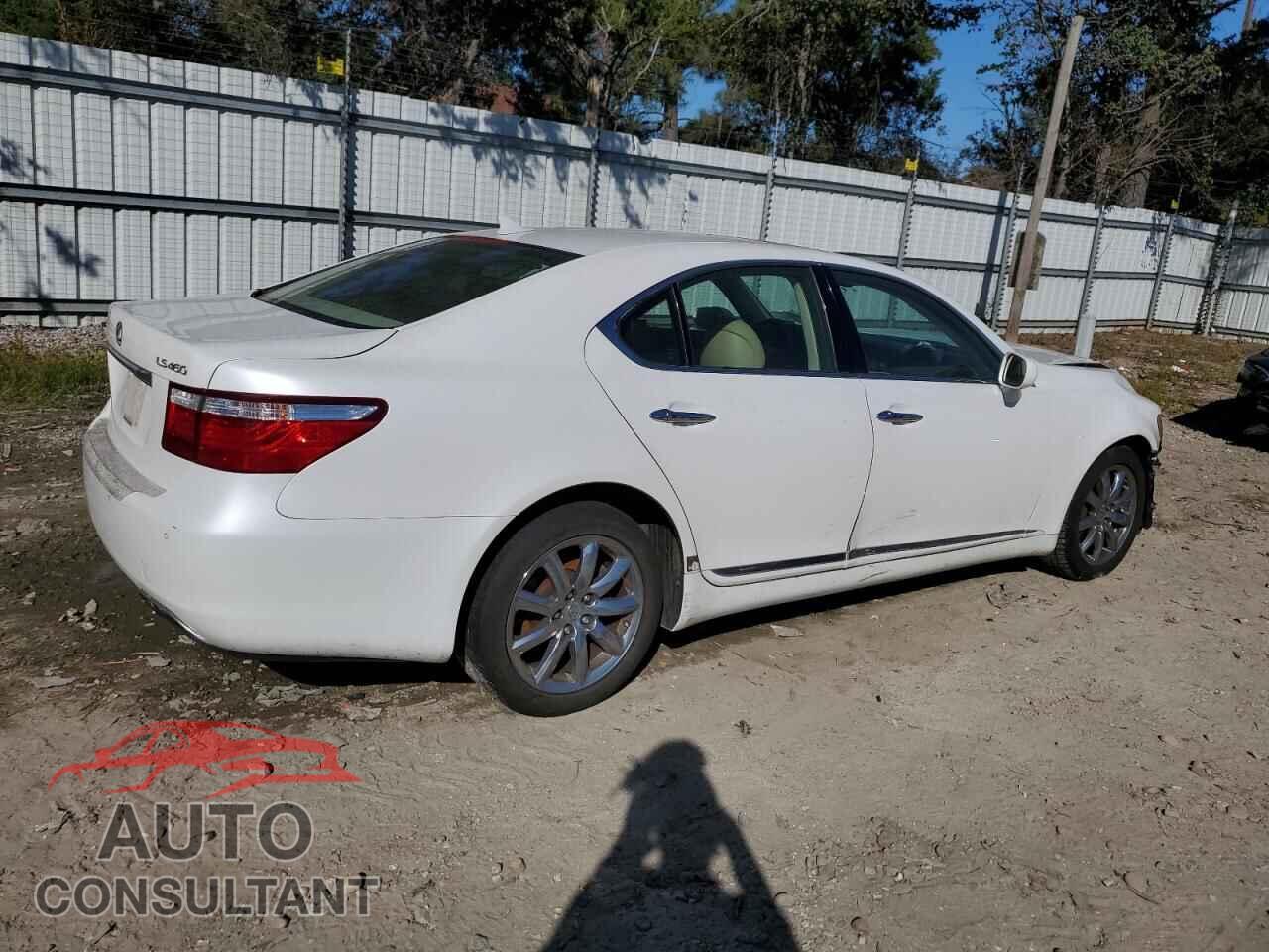 LEXUS LS460 2009 - JTHBL46F095086685