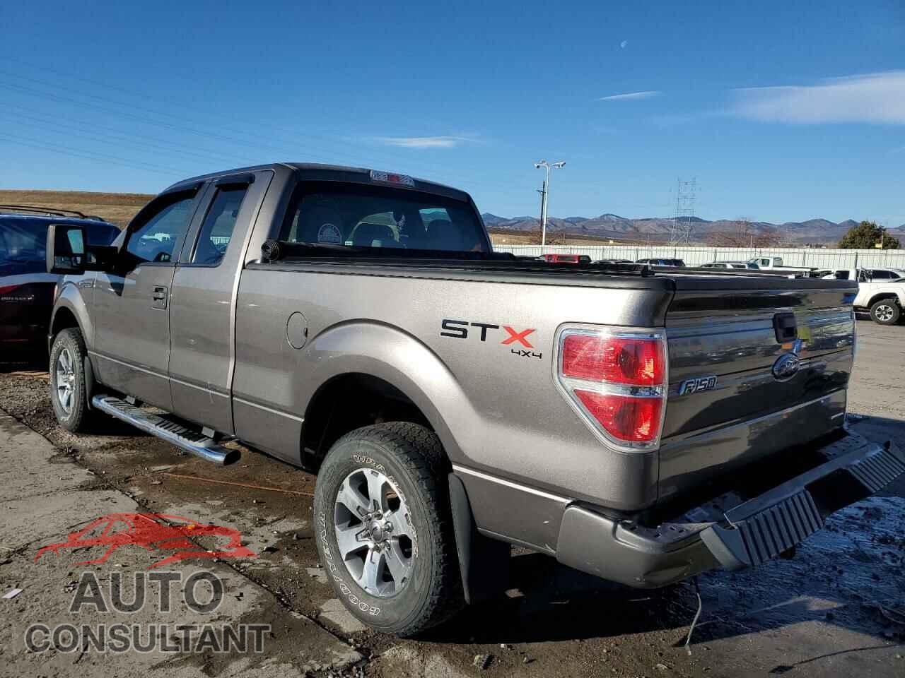 FORD F-150 2013 - 1FTFX1EF3DFC42597