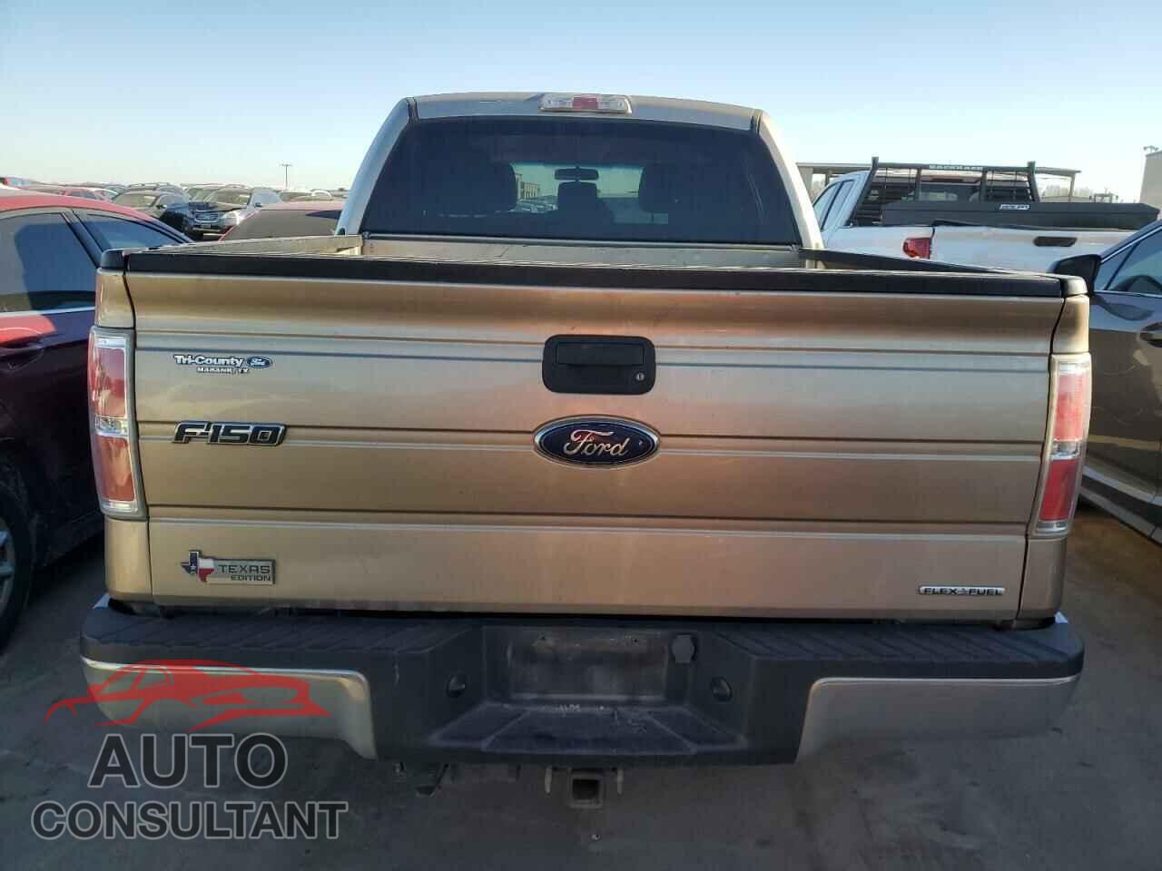 FORD F-150 2013 - 1FTEW1CM2DFB01875