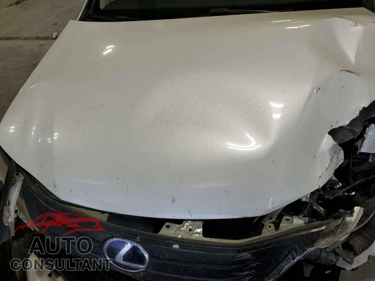 LEXUS HS 2010 - JTHBB1BA0A2015486