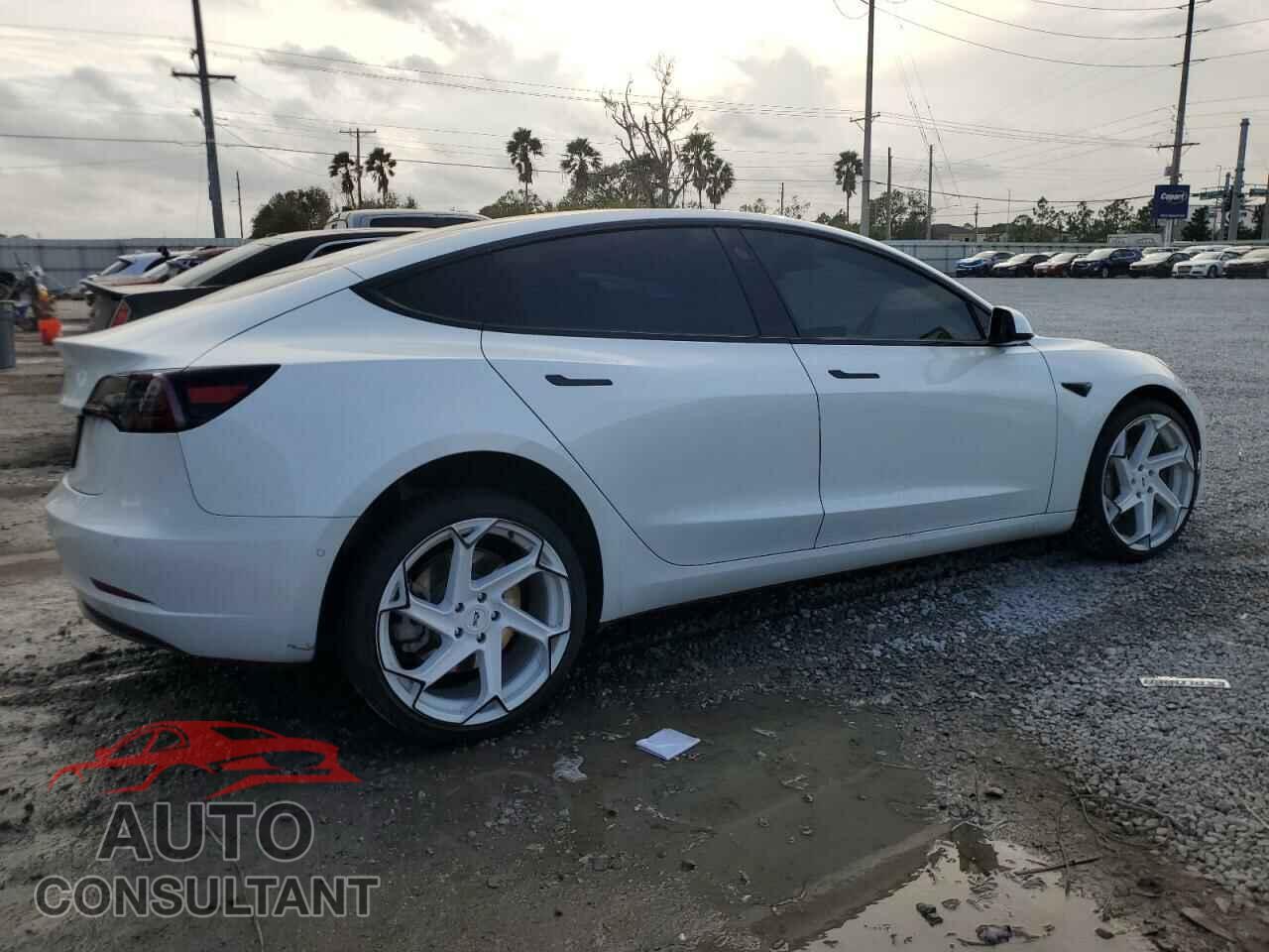 TESLA MODEL 3 2019 - 5YJ3E1EA1KF482519