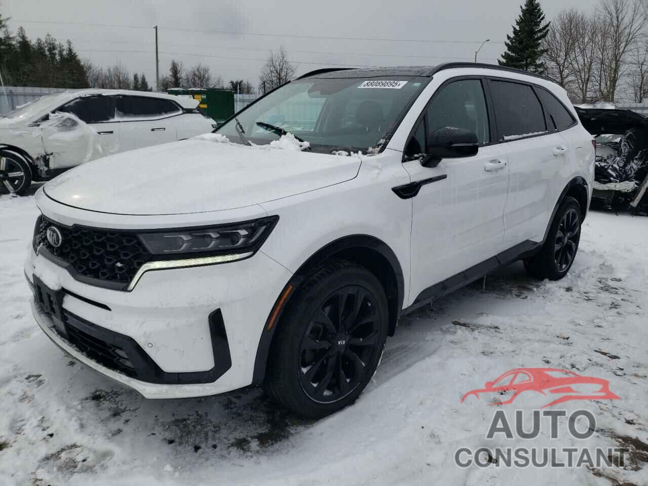 KIA SORENTO 2021 - 5XYRHDLF7MG073115
