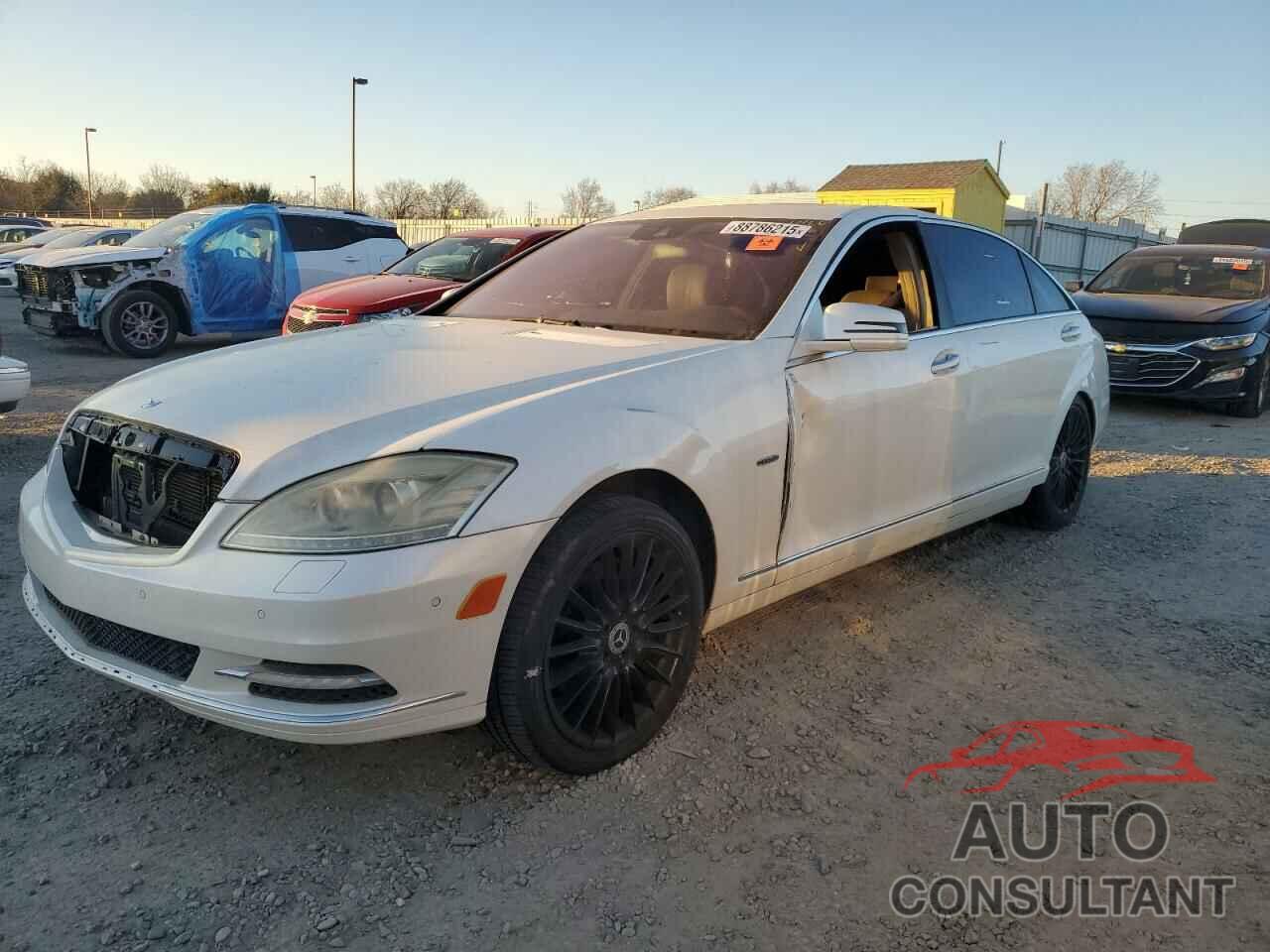 MERCEDES-BENZ S-CLASS 2010 - WDDNG9FB5AA309320