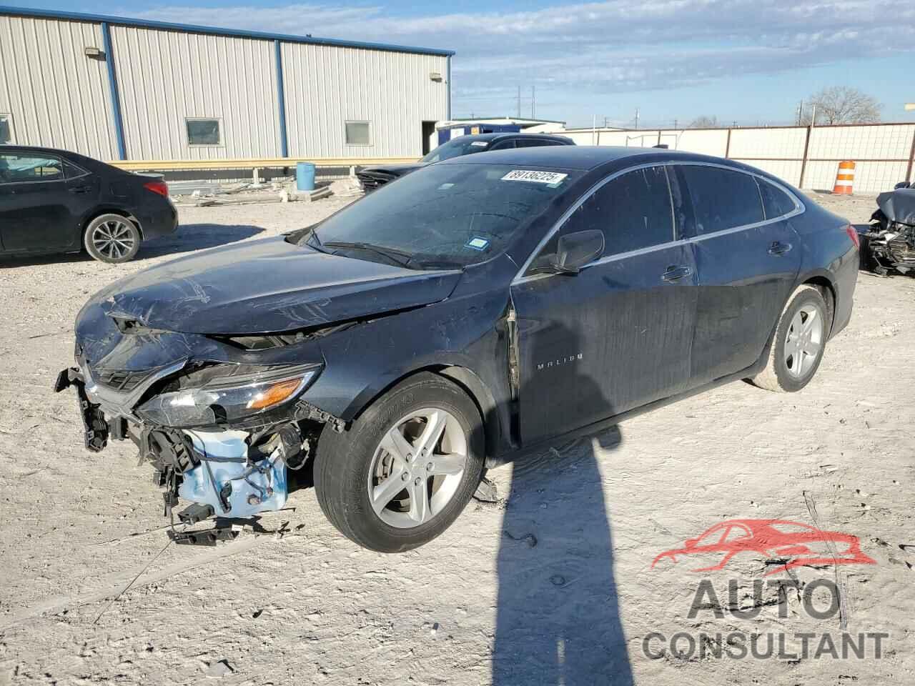 CHEVROLET MALIBU 2019 - 1G1ZB5ST7KF174047