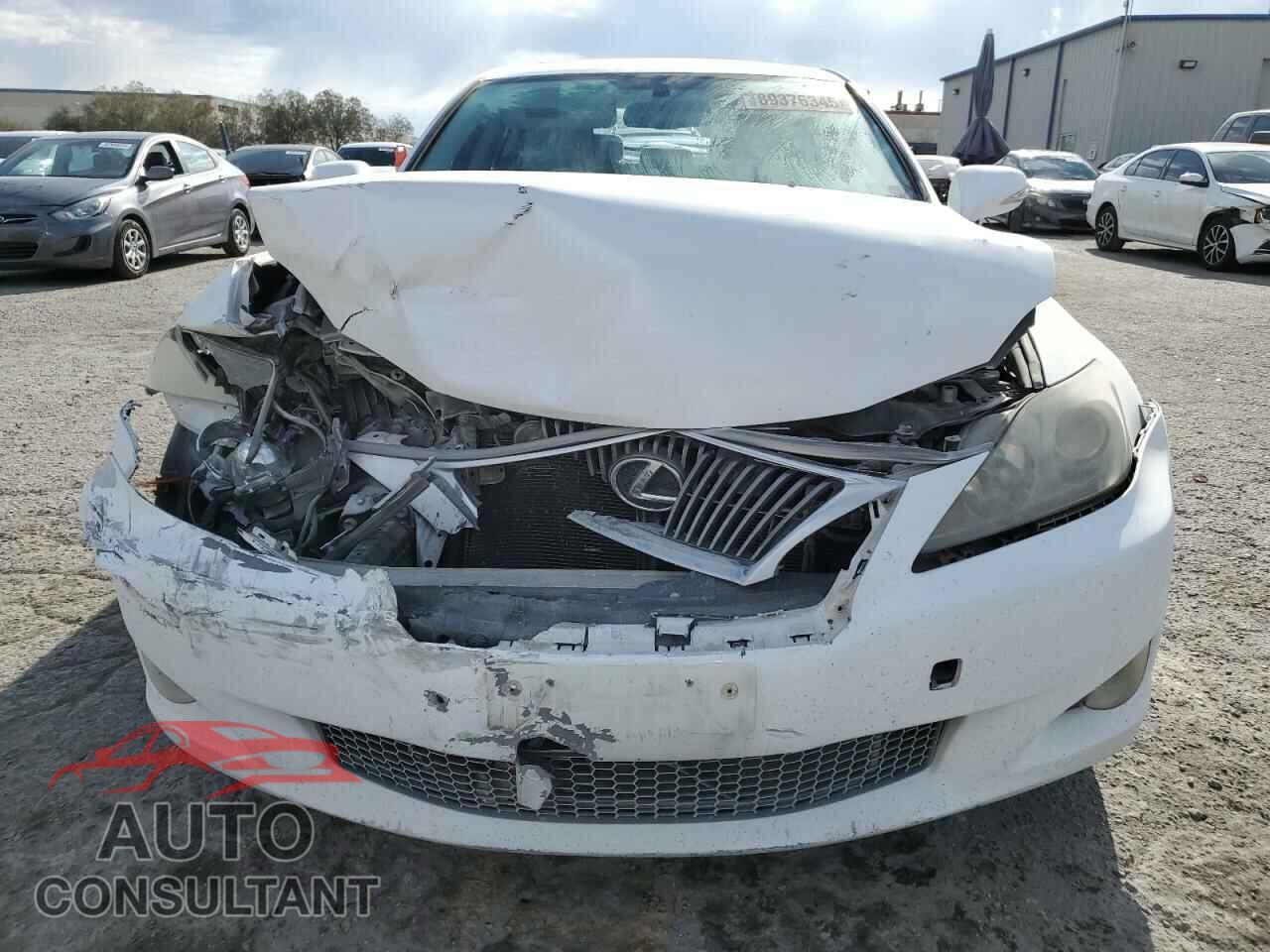 LEXUS IS 2009 - JTHBK262295091312