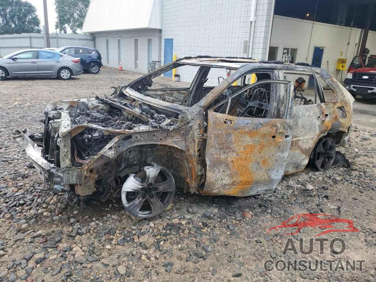 TOYOTA RAV4 2024 - 4T3RWRFV8RU119873