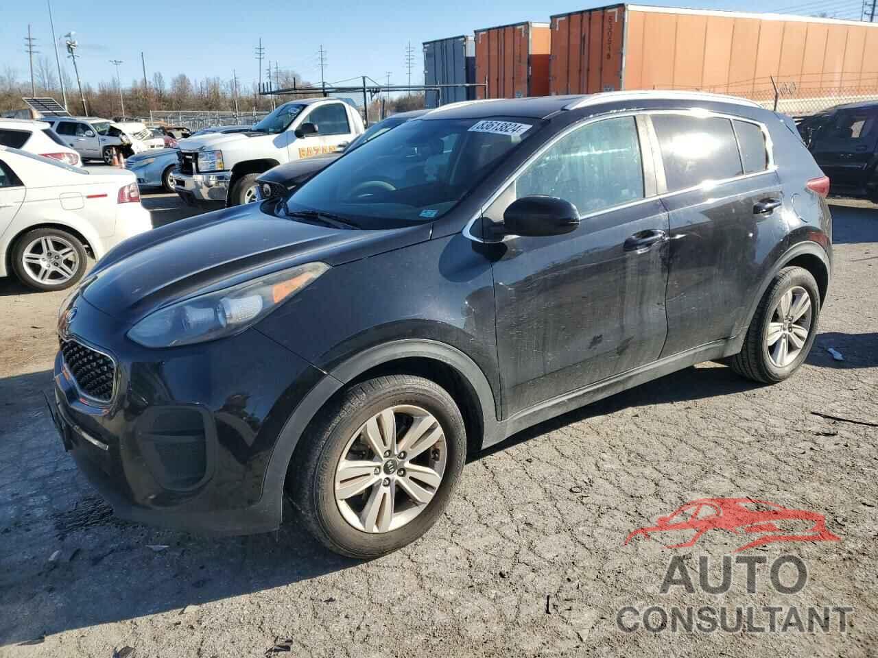 KIA SPORTAGE 2017 - KNDPM3AC8H7234662