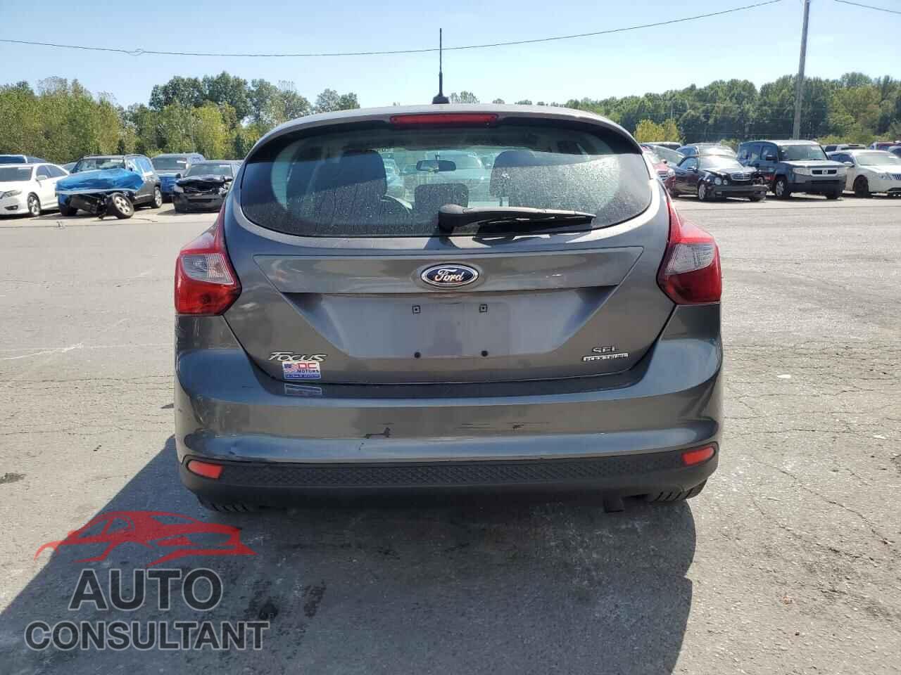 FORD FOCUS 2014 - 1FADP3K29EL443787