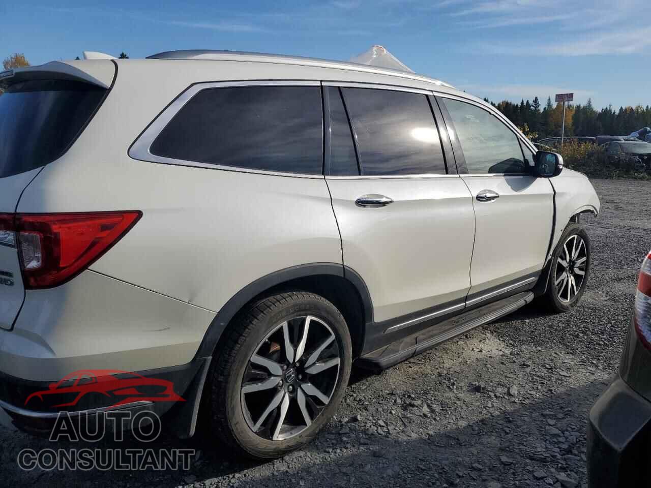 HONDA PILOT 2019 - 5FNYF6H95KB501509