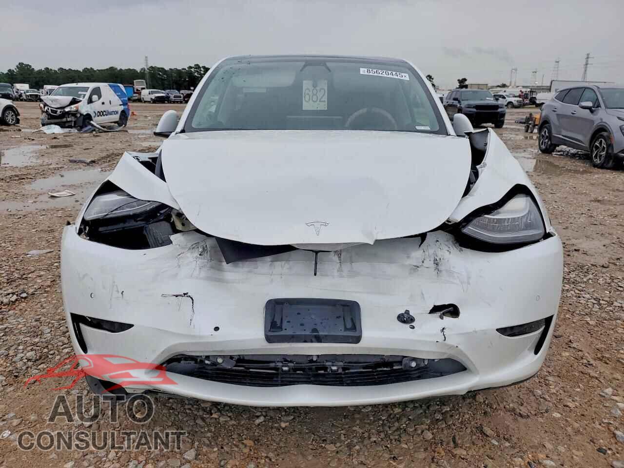 TESLA MODEL Y 2022 - 7SAYGDEEXNF387355