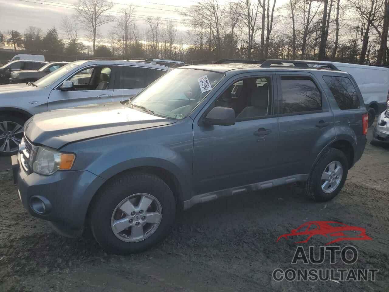 FORD ESCAPE 2010 - 1FMCU9DG1AKD09801