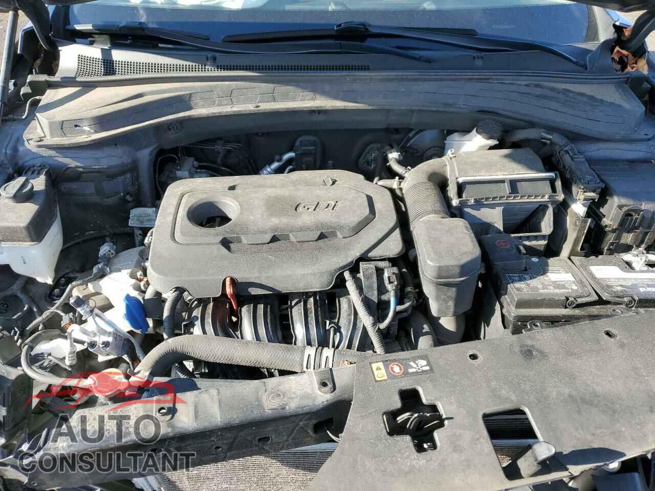 HYUNDAI SANTA FE 2019 - 5NMS3CAD2KH008476