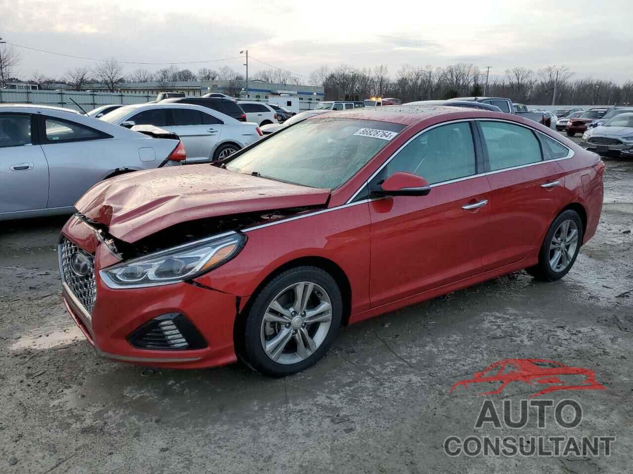 HYUNDAI SONATA 2019 - 5NPE34AF4KH788763