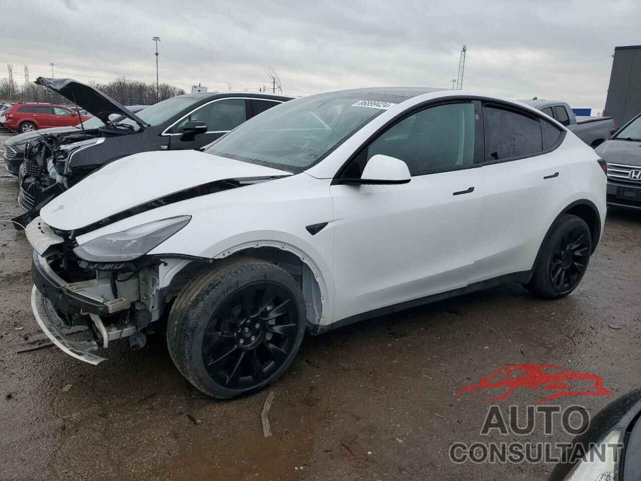 TESLA MODEL Y 2023 - 7SAYGDEE7PF804255