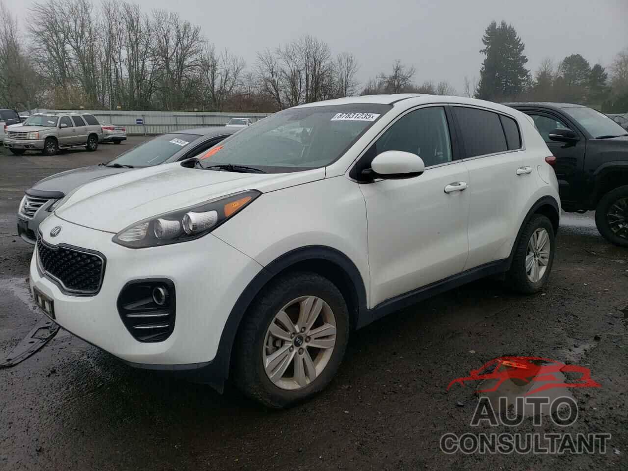 KIA SPORTAGE 2017 - KNDPMCAC2H7136937