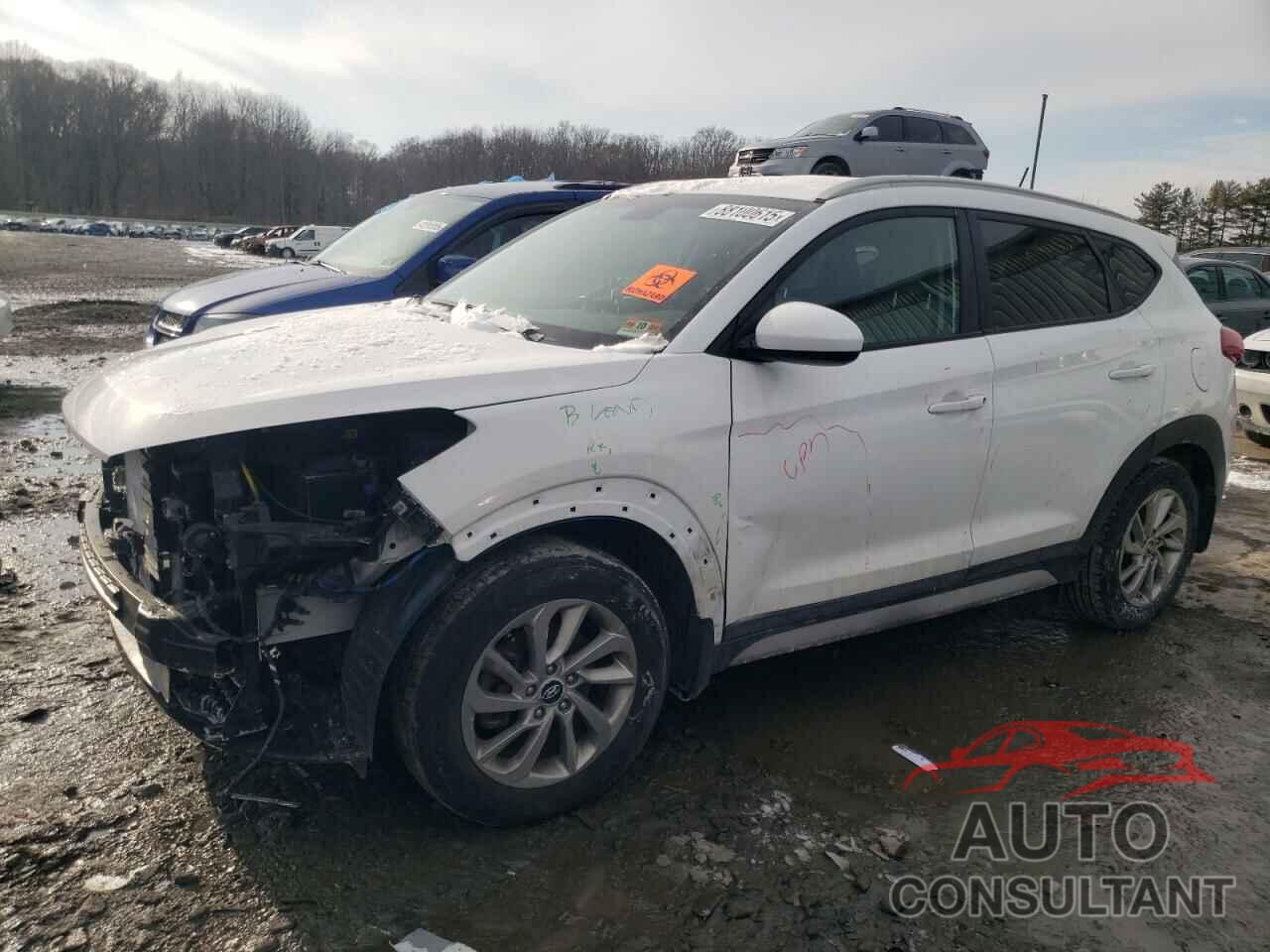 HYUNDAI TUCSON 2017 - KM8J3CA46HU561270