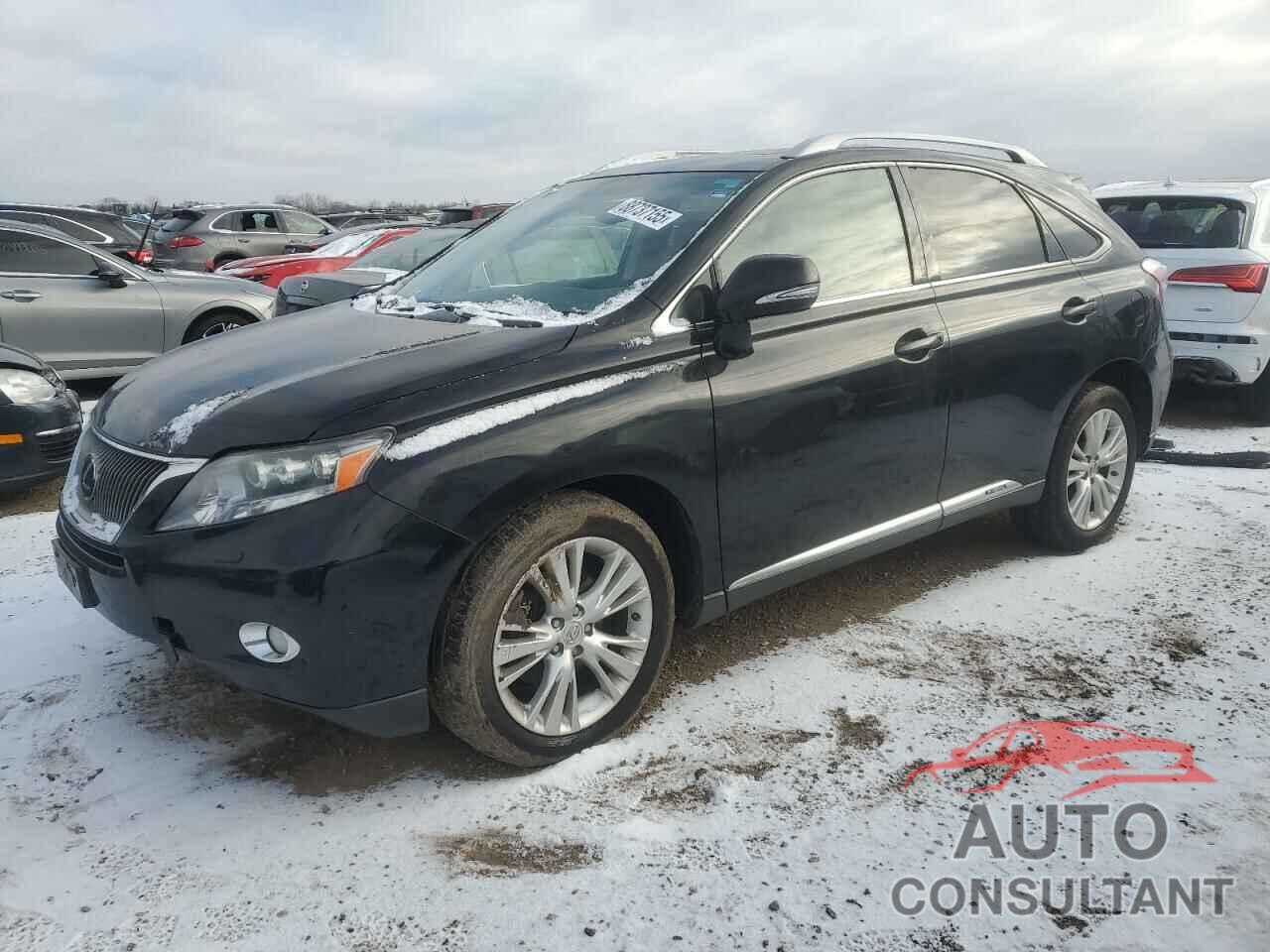 LEXUS RX450 2010 - JTJBC1BA3A2016806